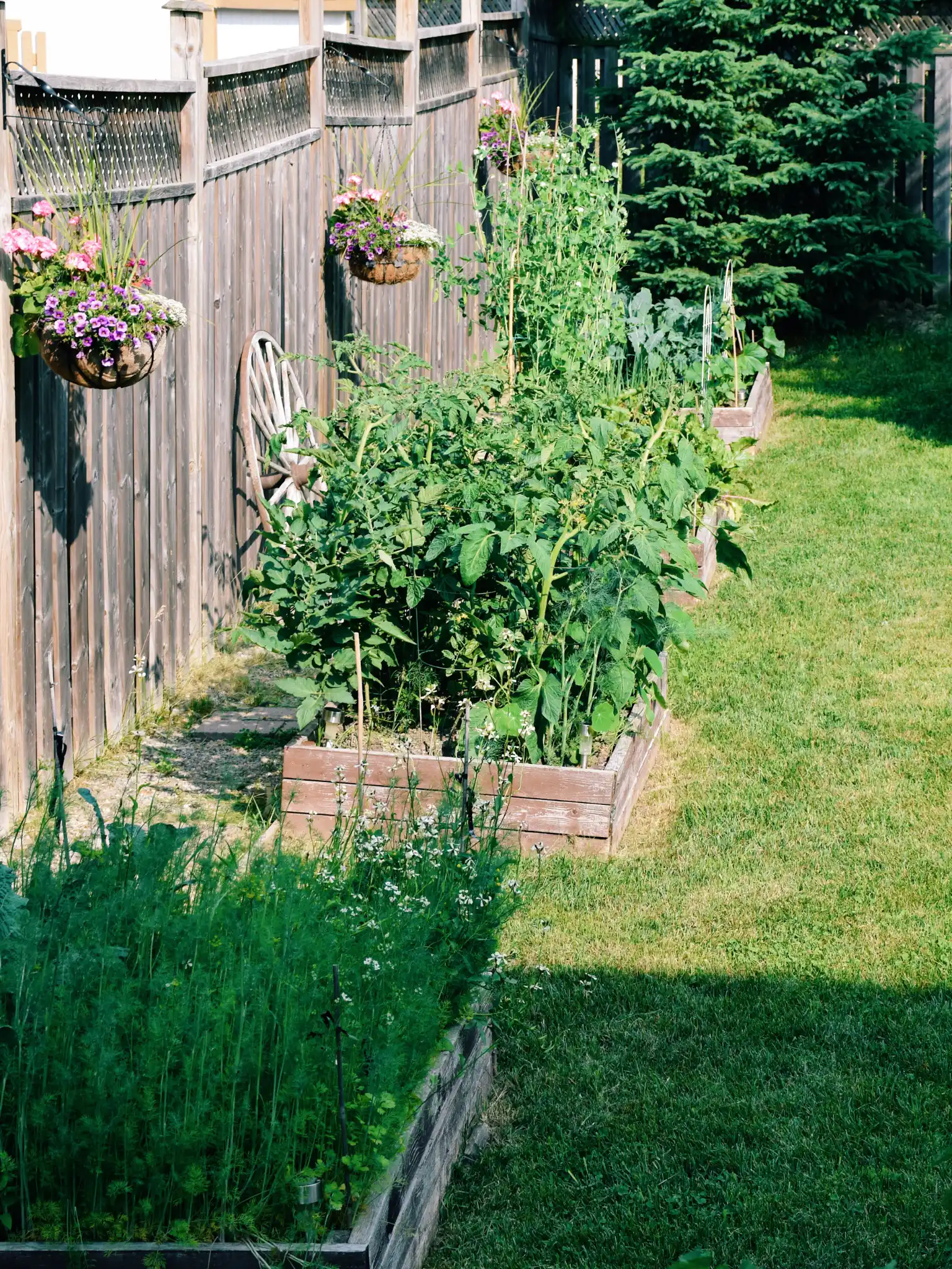 gartenpflege, landschaftsbau, rollrasen, baumfällung / baumschnitt, bepflanzung, gartenanlage