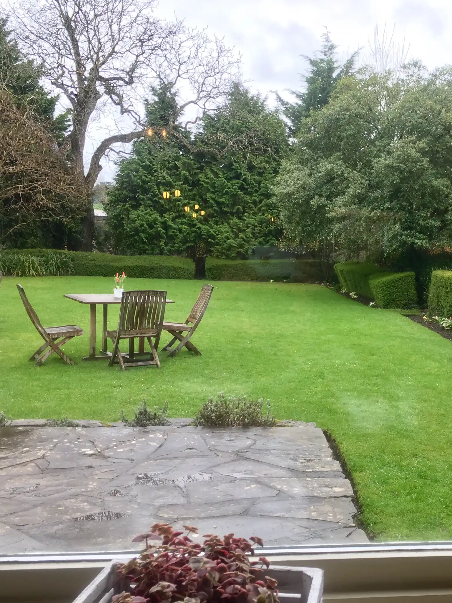 gartenpflege, landschaftsbau, rollrasen, baumfällung / baumschnitt, bepflanzung, gartenanlage