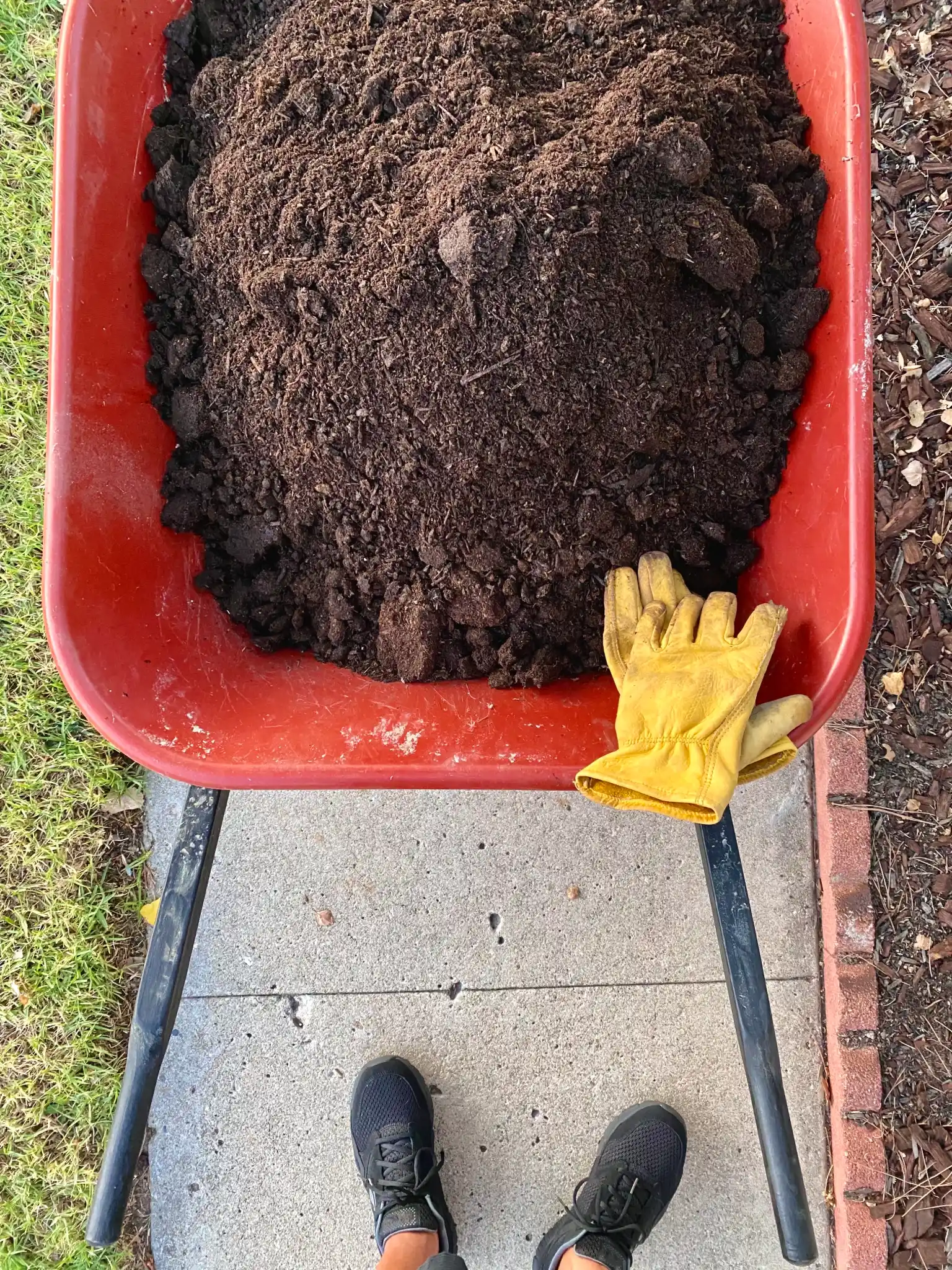 gartenpflege, landschaftsbau, rollrasen, baumfällung / baumschnitt, bepflanzung, gartenanlage